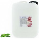 PM Aqualog esence do parních kabin eukalyptus-máta 821-005/D 5 l – Hledejceny.cz