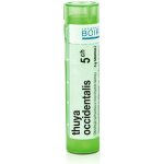 THUYA OCCIDENTALIS POR 5CH GRA 4G – Hledejceny.cz