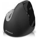 Evoluent VerticalMouse 4 Right Mac VM4RM