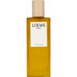 Loewe Solo Mercurio parfémovaná voda pánská 50 ml – Hledejceny.cz