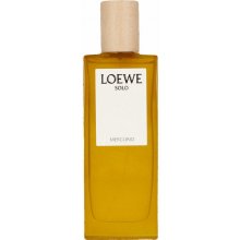 Loewe Solo Mercurio parfémovaná voda pánská 50 ml