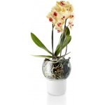 Samozavlažovací květináč na orchideje Frosted Big Eva Solo – Hledejceny.cz