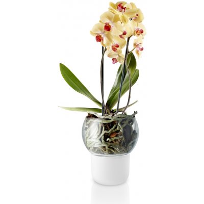 Samozavlažovací květináč na orchideje Frosted Big Eva Solo – Hledejceny.cz