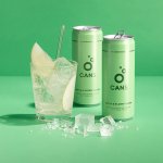 Cans s příchutí jablka a bezinky 330 ml – Zboží Mobilmania