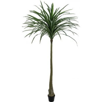 Umělá palma Dracena s vysokým kmenem, 220cm