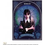 Cinereplicas Adventní kalendář Wednesday 2023 – Zboží Dáma