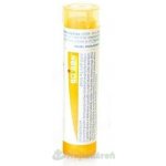 IRIS VERSICOLOR POR 15CH GRA 1X4G – Hledejceny.cz