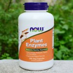 Now Foods Plant Enzymes rostlinné enzymy 240 kapslí – Hledejceny.cz