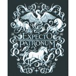 Zuty Malování Podle Čísel Plakát E x pecto Patronum Harry Potter 40 x 50 Cm Plátno 8596530239284 – Zboží Dáma
