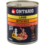 Ontario Lamb Rice Sunflower Oil 0,8 kg – Hledejceny.cz