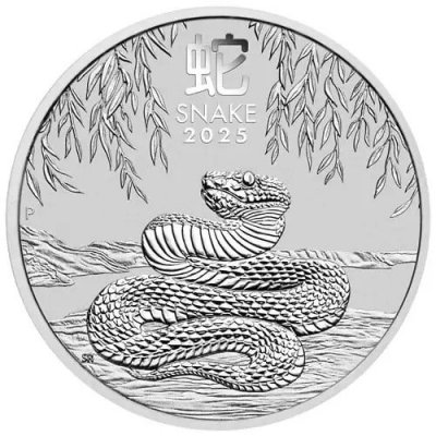 Perth Mint stříbrná mince Rok Hada 2025 1 oz – Zboží Dáma
