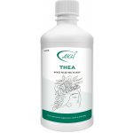 AKH Regenerační vlasový mycí olej THEA 500 ml – Hledejceny.cz