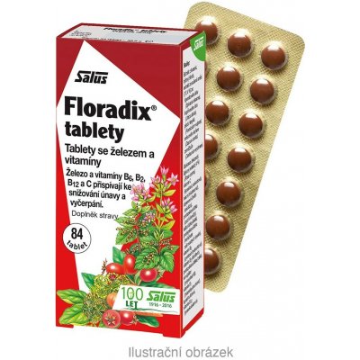Floradix Tablety se železem a vitamíny 84 ks – Hledejceny.cz