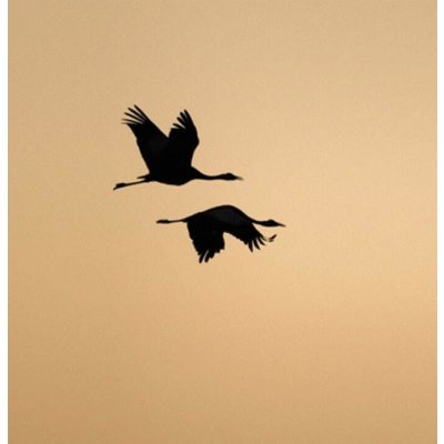 Marien Světla je víc CD – Zboží Dáma