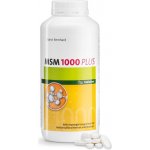 Sanct Bernhard MSM 1000 mg PLUS 500 tablet – Hledejceny.cz