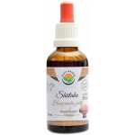 Salvia paradise Shiitake Houževnatec jedlý AF tinktura 50 ml – Hledejceny.cz