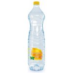 Natura citron a máta 6 x 1,5 l – Hledejceny.cz