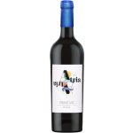 Di Camillo Atria Primitivo Puglia 13,5% 0,75 l (holá láhev) – Zbozi.Blesk.cz