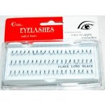 Absolute Cosmetics Eye Lahes Mix Umělé nalepovací trsy 14110-MI černé 60 tr – Hledejceny.cz