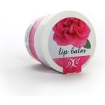 Hristina přírodní balzám na rty bulharská růže 30 ml – Zboží Dáma