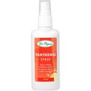 Dr. Popov Panthenol spray 110 ml