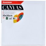 Artix Paints Malířské plátno 30x30cm – Hledejceny.cz