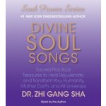 Divine Soul Songs: Sacred Practical Treasures to Heal, Rejuvenate, and Transform You, Humanity, Mother Earth, and All Universes – Hledejceny.cz