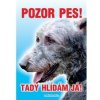 Autovýbava Grel Tabulka pozor pes irský vlkodav