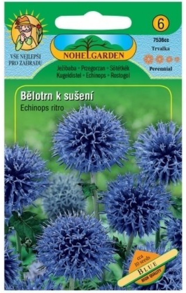 Nohel garden Bělotrn benátský k sušení, modrá