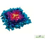 Čmuchacíkoberečky.cz Čmuchací kobereček extra hustý BAREVNÝ TERČ 2 30 x 30 cm – Sleviste.cz