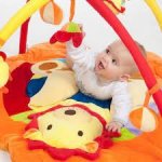 PlayTo Hrací deka lev Oranžová – Hledejceny.cz