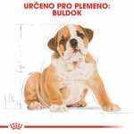 Royal Canin Bulldog Puppy 12 kg – Zbozi.Blesk.cz