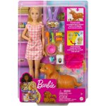 Mattel Barbie Novorozená štěňátka HCK75 – Zboží Mobilmania