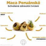 BrainMax Pure Maca BIO prášek 200 g – Zbozi.Blesk.cz