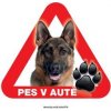 Autovýbava Grel nálepka na sklo pozor pes v autě německý ovčák čelně