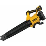 DeWalt 18 V XR DCMBL562P1 – Zboží Dáma