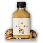 Natural Protein Zázvorová šťáva 100 ml – Zboží Mobilmania