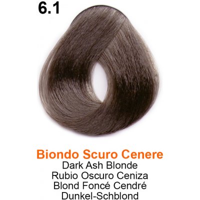 Trend Toujours barva na vlasy 6.1 100 ml
