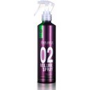 Salerm Pro.Line 02 Volume Spray pro objem 250 ml