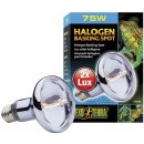 Hagen Exo Terra Halogen Basking Spot 75 W