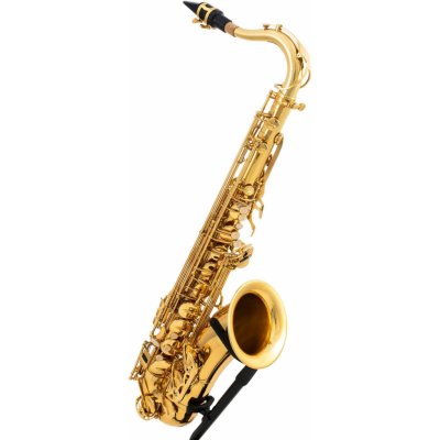 Latone LTS 600 Classic Gold Tenorový saxofon – Zboží Mobilmania