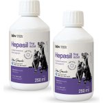 Lab-v Hepasil Dog & Cat přípravek pro zlepšení funkce jater pro psy a kočky 2 x 250 ml – Hledejceny.cz