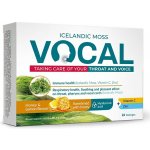 Vocal HA Pastilky s příchutí medu a citronu 24 pastilek – Hledejceny.cz