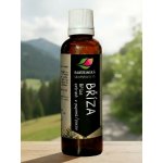 Rabštejnská apatyka Bříza tinktura z pupenů rostlin 50 ml – Hledejceny.cz