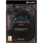 Pillars of Eternity (Definitive Edition) – Zboží Dáma