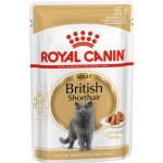 Royal Canin British Shorthair Gravy 85 g – Hledejceny.cz