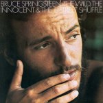 Bruce Springsteen - Wild, The Innocent & The E Street Shuffle LP – Hledejceny.cz