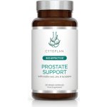 Cytoplan Zdraví prostaty 90 kapslí – Hledejceny.cz