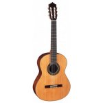 Paco Castillo 202 – Sleviste.cz