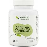 Natural Medicaments Garcinia Cambogia 90 kapslí – Hledejceny.cz